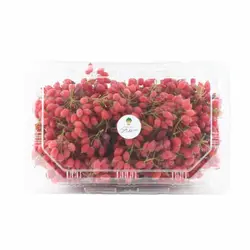 زرشک تازه - تره بار اینترنتی سبزی من