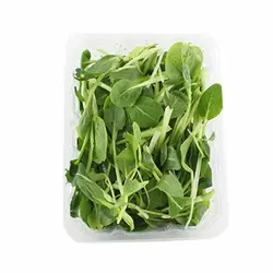 پاک چوی گل باز - خواص و ارزش غذایی پاک چوی- تره بار اینترنتی سبزی من