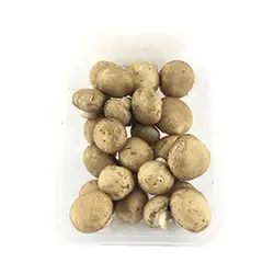 قارچ دکمه ای قهوه ای - تره بار اینترنتی سبزی من