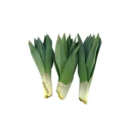 چریش - تره بار اینترنتی سبزی من