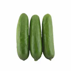 خیار سالادی - تره بار اینترنتی سبزی من