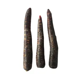 هویج بنفش - تره بار اینترنتی سبزی من