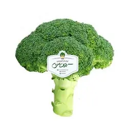 کلم بروکلی - خرید آنلاین و اطلاع از قیمت - تره بار اینترنتی سبزی من