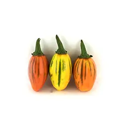 اطلاع از قیمت و خرید بادمجان مینیاتوری - تره بار اینترنتی سبزی من