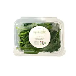 اسفناج ارگانیک - تره بار اینترنتی سبزی من