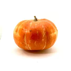 کدو تنبل - تره بار اینترنتی سبزی من