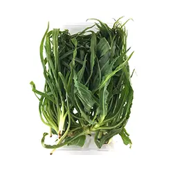 شنگ - اطلاع از قیمت و خرید - تره بار اینترنتی سبزی من