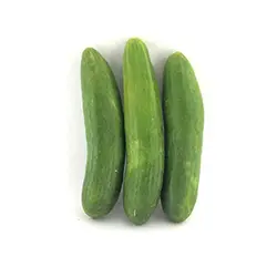 خیار رسمی ، اطلاع از قیمت و خرید - تره بار اینترنتی سبزی من