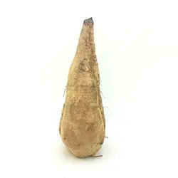 چغندر قند - تره بار اینترنتی سبزی من