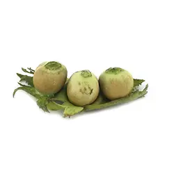 فندق تازه - اطلاع از قیمت و خرید - تره بار اینترنتی سبزی من