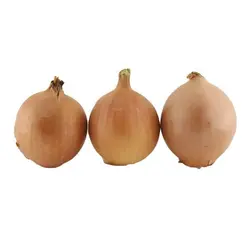 پیاز عسلی - تره بار اینترنتی سبزی من