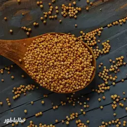 دانه خردل زرد