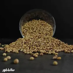 تخم گشنیز