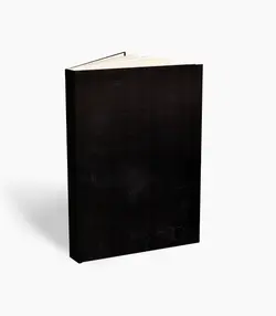 کتاب تروی استتینا ریتم گیتار