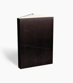 کتاب تروی استتینا لید گیتار