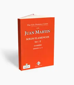 کتاب تکنوازی گیتار فلامنکو 21 قطعه