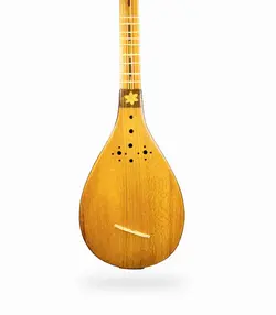 سه تار تیمور کاسه زه دار