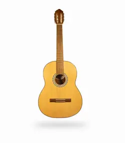 گیتار AJ ساخت ترکیه