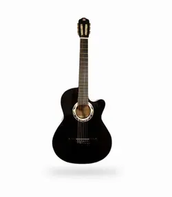 گیتار دیاموند ساخت ایران