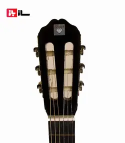 گیتار دیاموند ساخت ایران