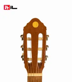 گیتار ویکند VC-492-N/M چینی