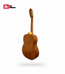 گیتار ویکند VC-492-N/M چینی