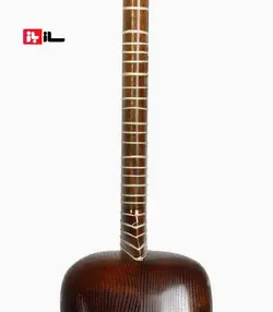 تار دلنواز(نادر قوامی)