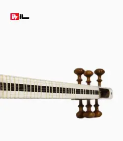 تار دلنواز(نادر قوامی)