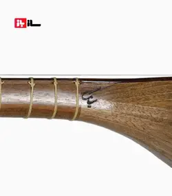 تنبور سیامک میرزاپور