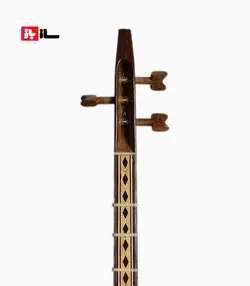 تنبور سیامک میرزاپور