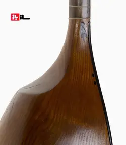 تنبور سیروس رضوی دلربا