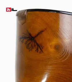 تنبور سیروس رضوی دلربا