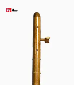 تنبور مجذوب 3 مهر گلودار