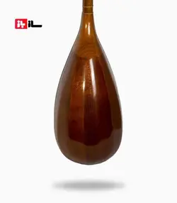 تنبور مجذوب 3 مهر گلودار