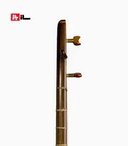 تنبور مجذوب دو مهر گلودار