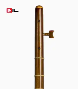 تنبور مجذوب دو مهر گلودار