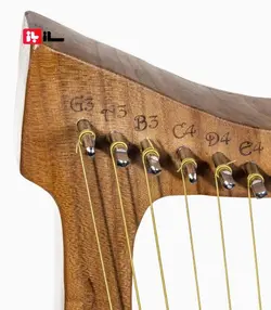 چنگ رومی بلوط 16 سیم سیمرغ