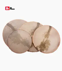 دف حبیبی الیت