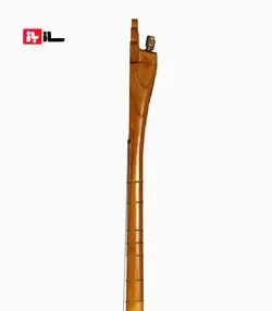 دوتار معاصر گودرزی