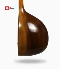 دوتار معاصر گودرزی