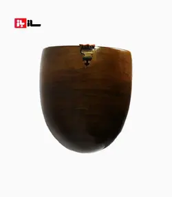 دوتار معاصر گودرزی