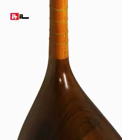 دوتار معاصر گودرزی