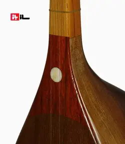 دوتار معاصر گودرزی