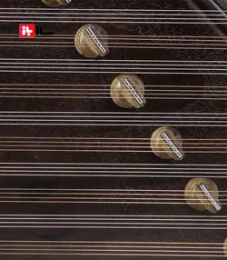 سنتور صالحی راد یک مهر