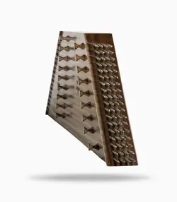 سنتور طلوعی حرفه‌ای سل کوک