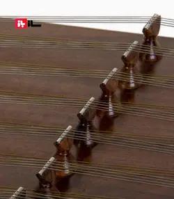 سنتور طلوعی حرفه‌ای سل کوک