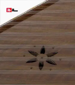 سنتور طلوعی حرفه‌ای سل کوک