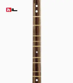 سه تار آقاگلی الگو کمالیان چوب کهنه