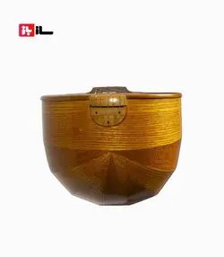 سه تار کیانوش اشرفی الگو زاد خیل کاسه کوچک