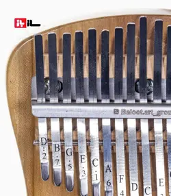 کالیمبا بلوط بغل هلال حفره دار